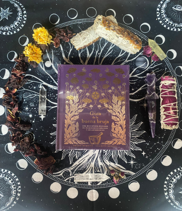 Guía de la buena Bruja - Shawn Robbins, Charity Bedell